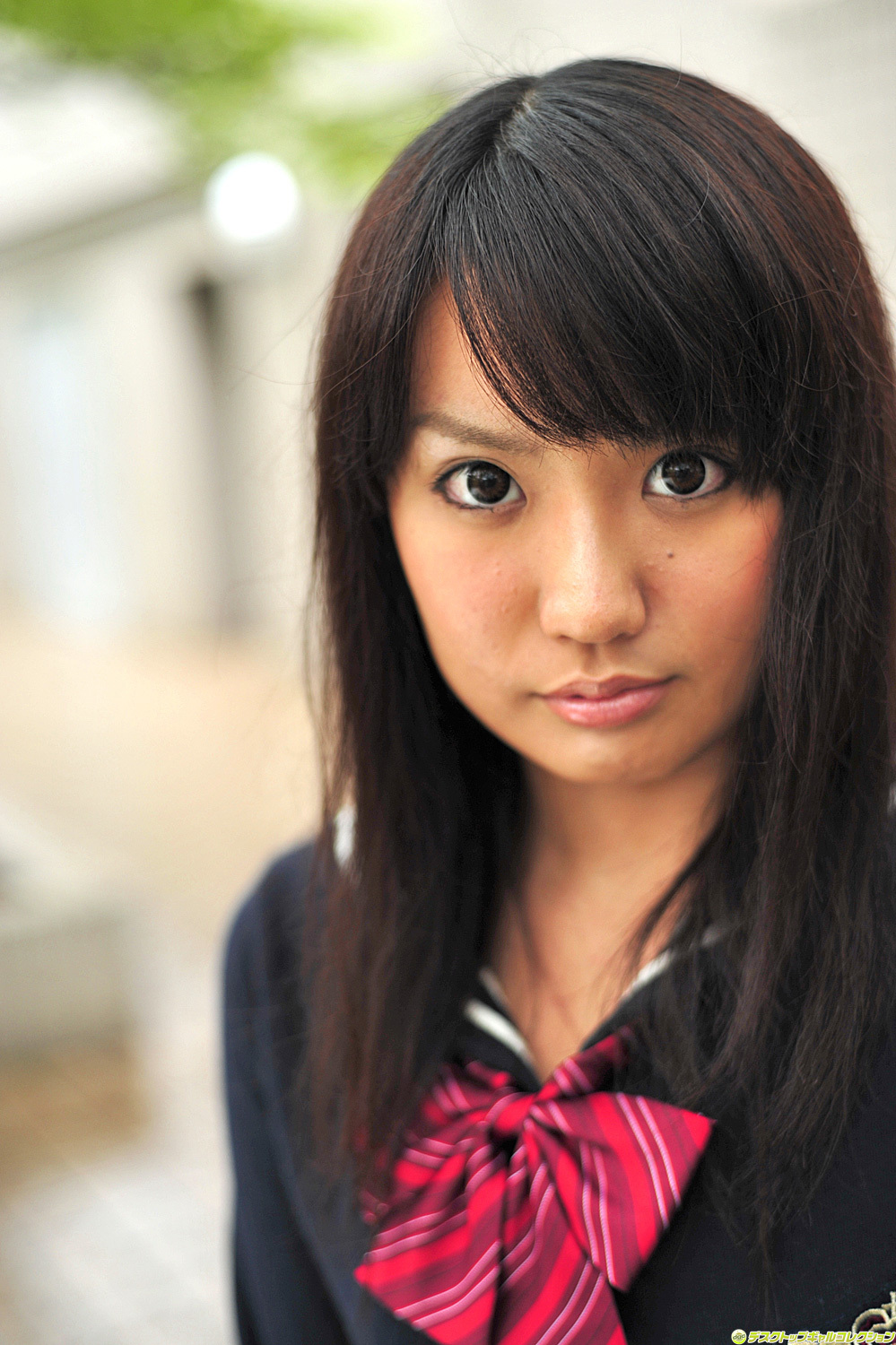 内藤ミレイ Mirei Naitoh [DGC]2011年11月號 No.986 制服美少女天國